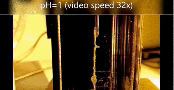 dab0c286-aa89-11eb-9728-12bb97331649.gif